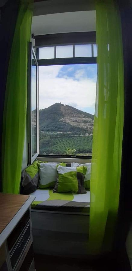 Casa 4P - Alojamento Local - Pura Paixao Por Penacova Villa Екстериор снимка