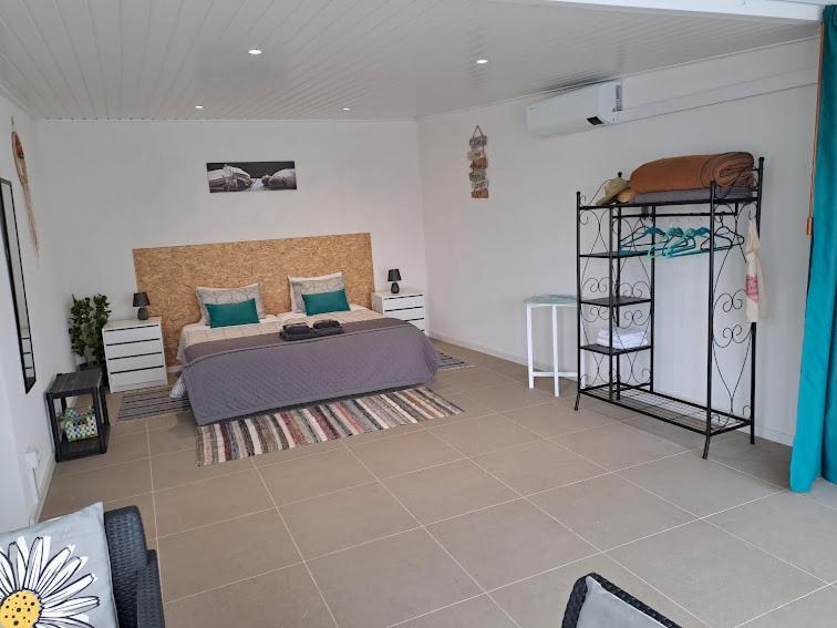 Casa 4P - Alojamento Local - Pura Paixao Por Penacova Villa Екстериор снимка